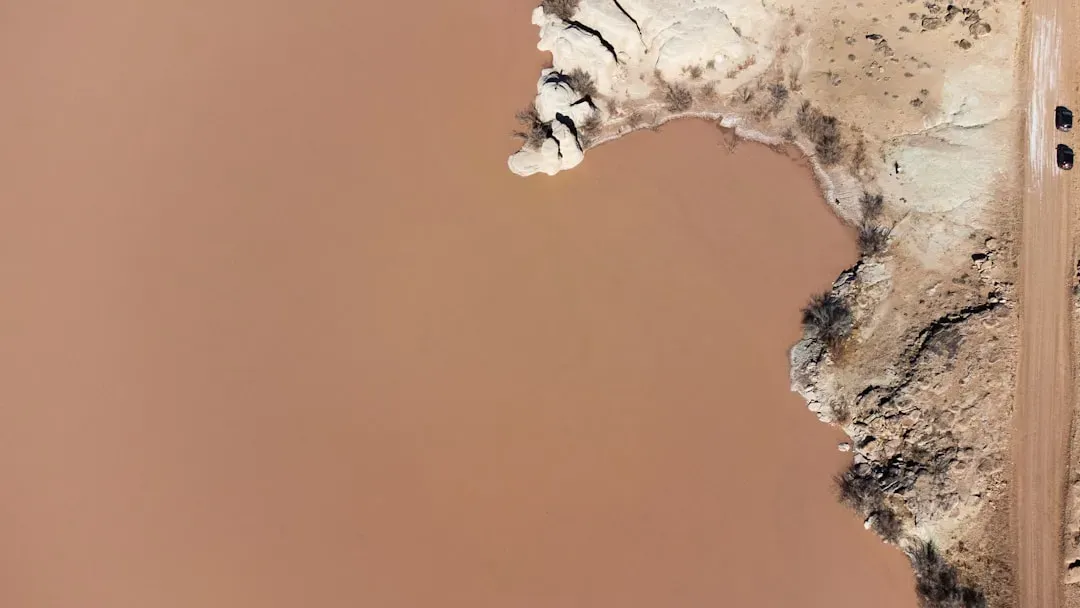 6. Mold, Moisture, and Poor Drainage (Image Credits: Unsplash)