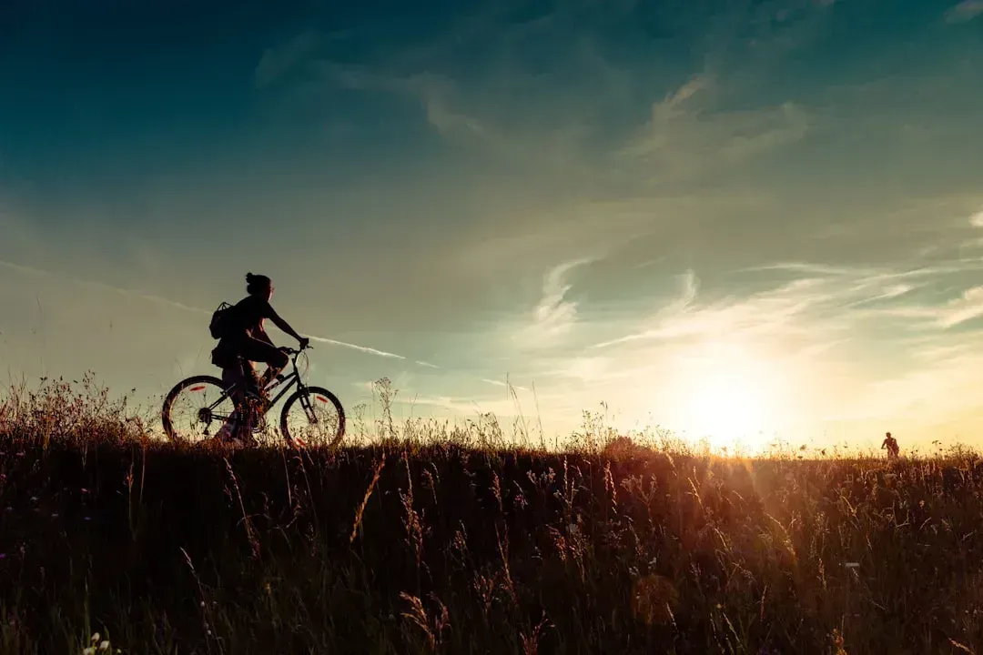 Riding Bikes All Day Without Anyone Tracking Your Location (Image Credits: Gallery Image)
