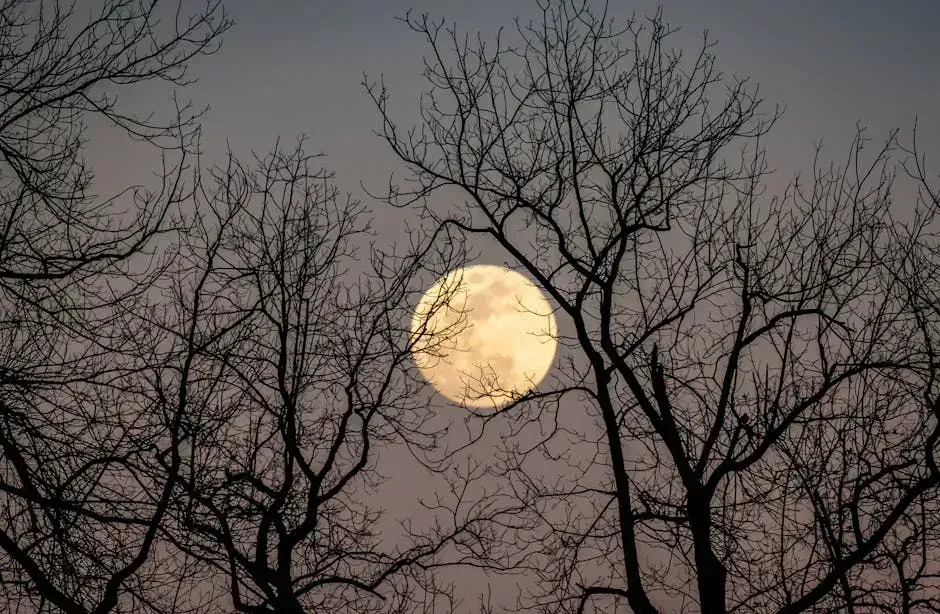 3. Creedence Clearwater Revival - "Bad Moon Rising": "There's a bathroom on the right" (Image Credits: Pexels)