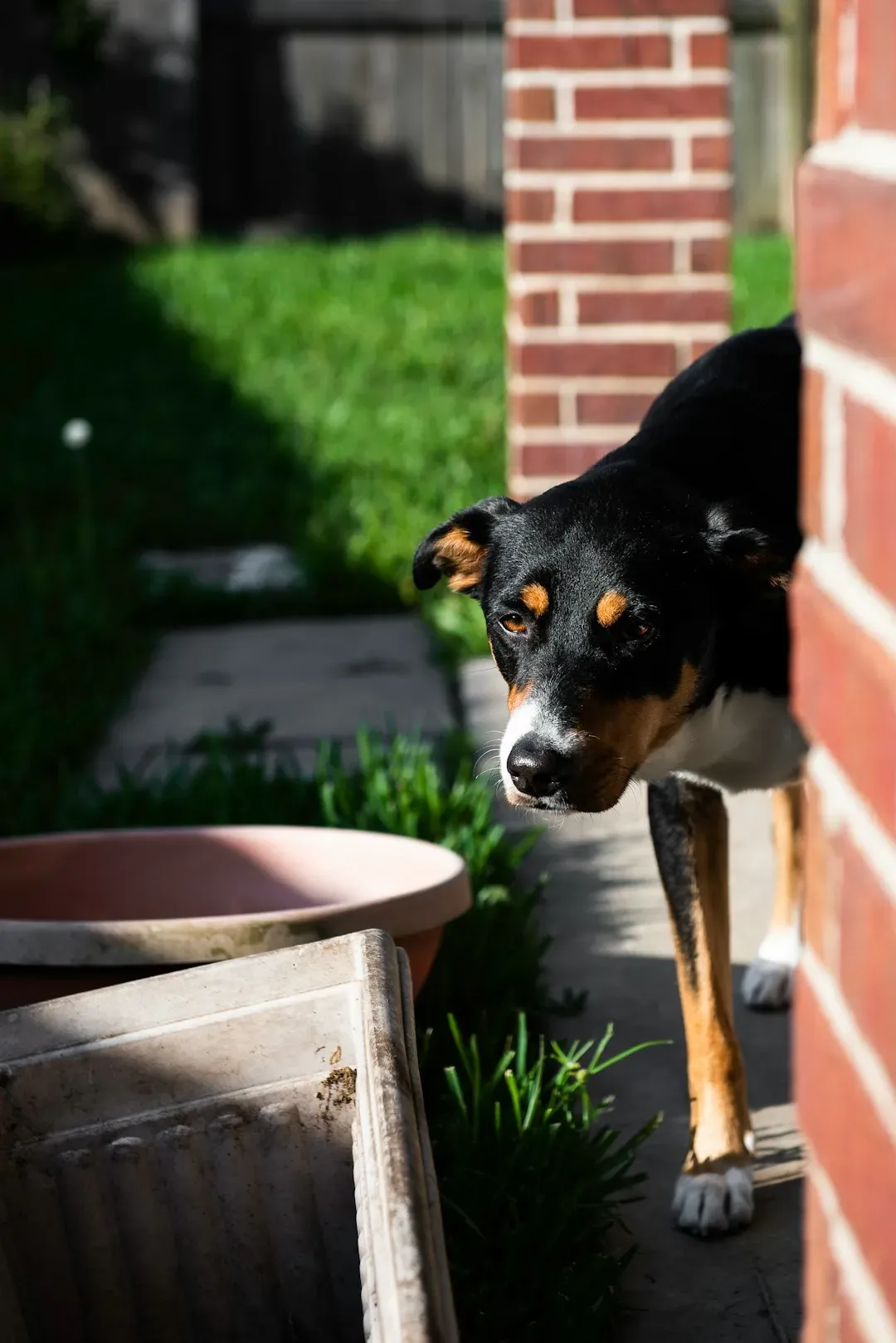 Cleaning Up the Yard (Image Credits: Unsplash)