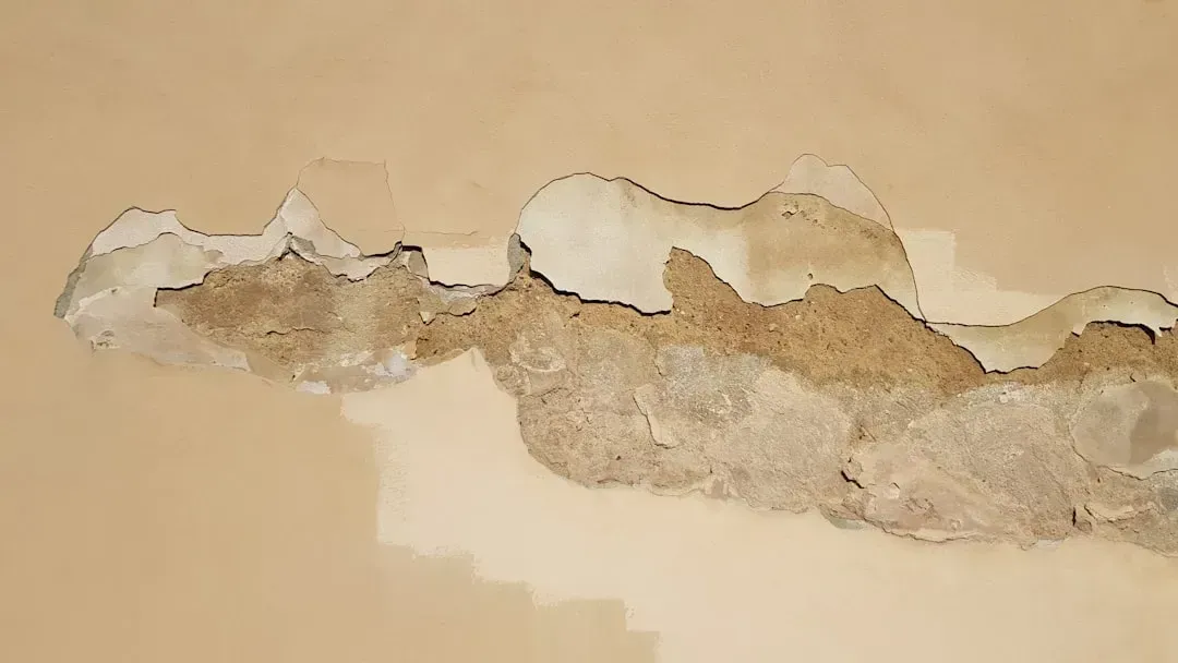 2. Ceiling stains and water marks (Image Credits: Unsplash)