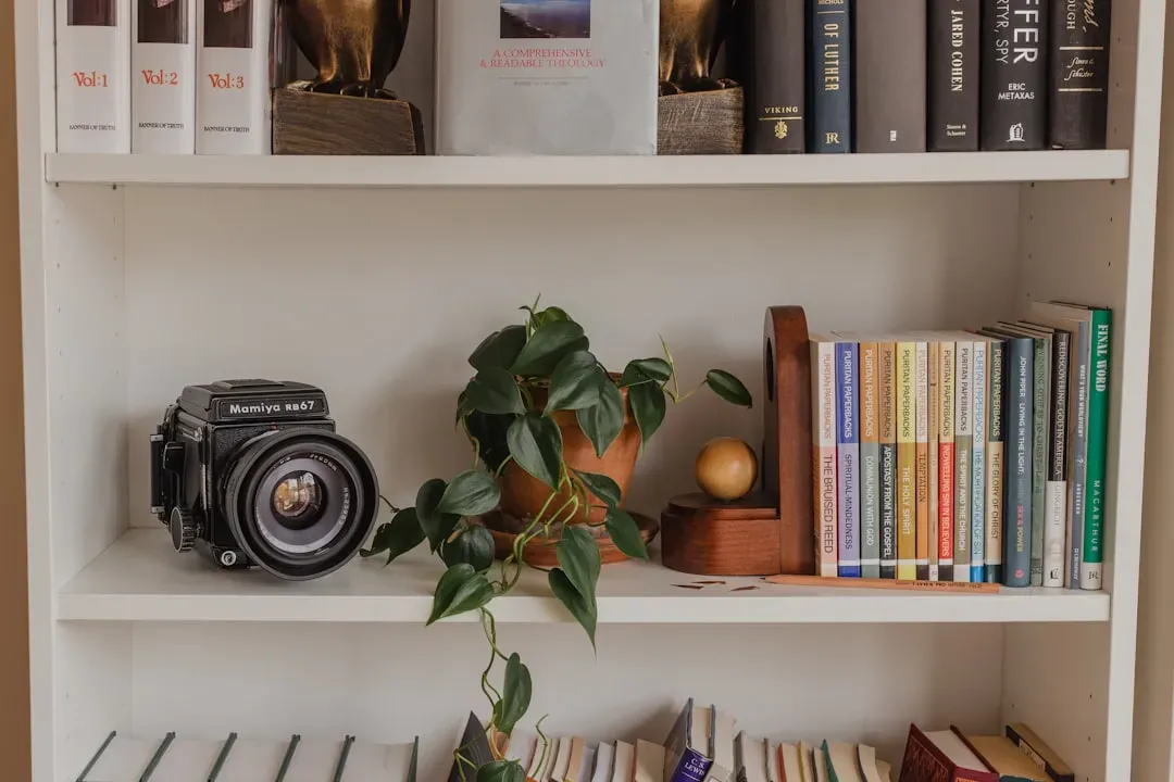 The Over-Staged Shelfie (Image Credits: Unsplash)