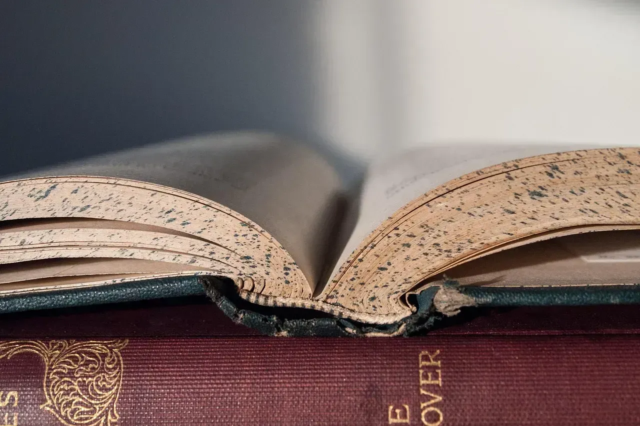 Stoner by John Williams (1965) - The Greatest Novel You've Never Heard Of (Image Credits: Pixabay)