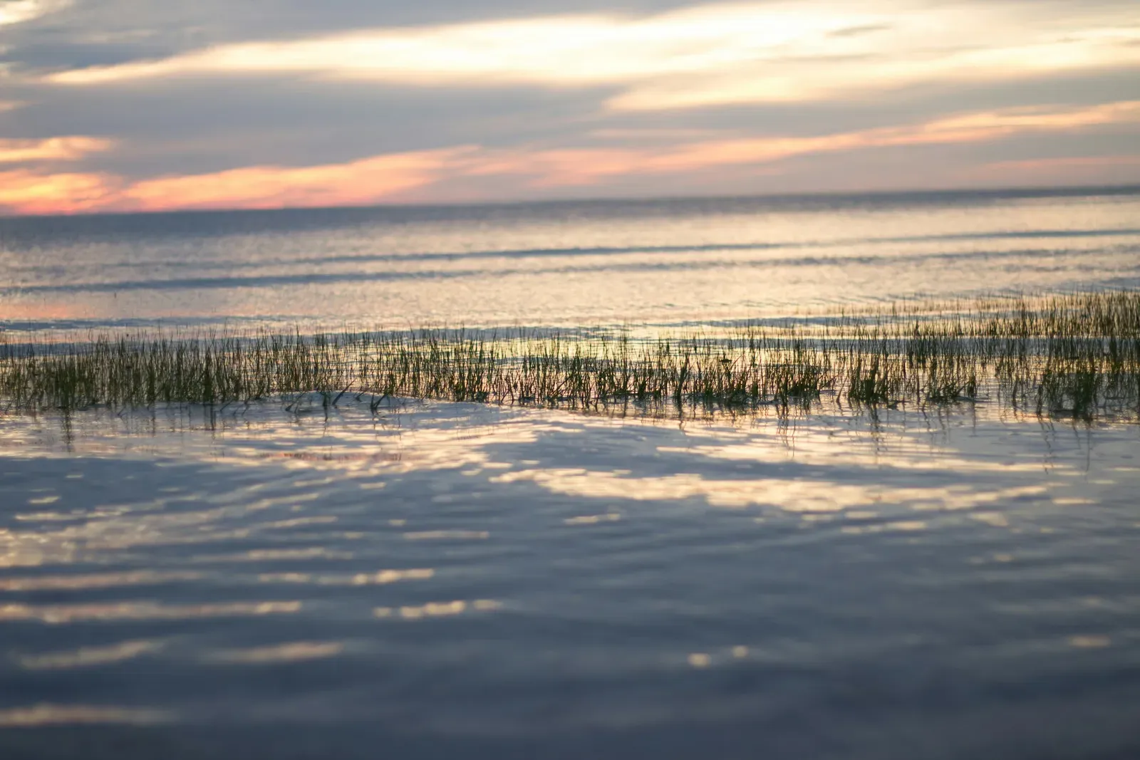 Barnstable, Massachusetts (Image Credits: Unsplash)