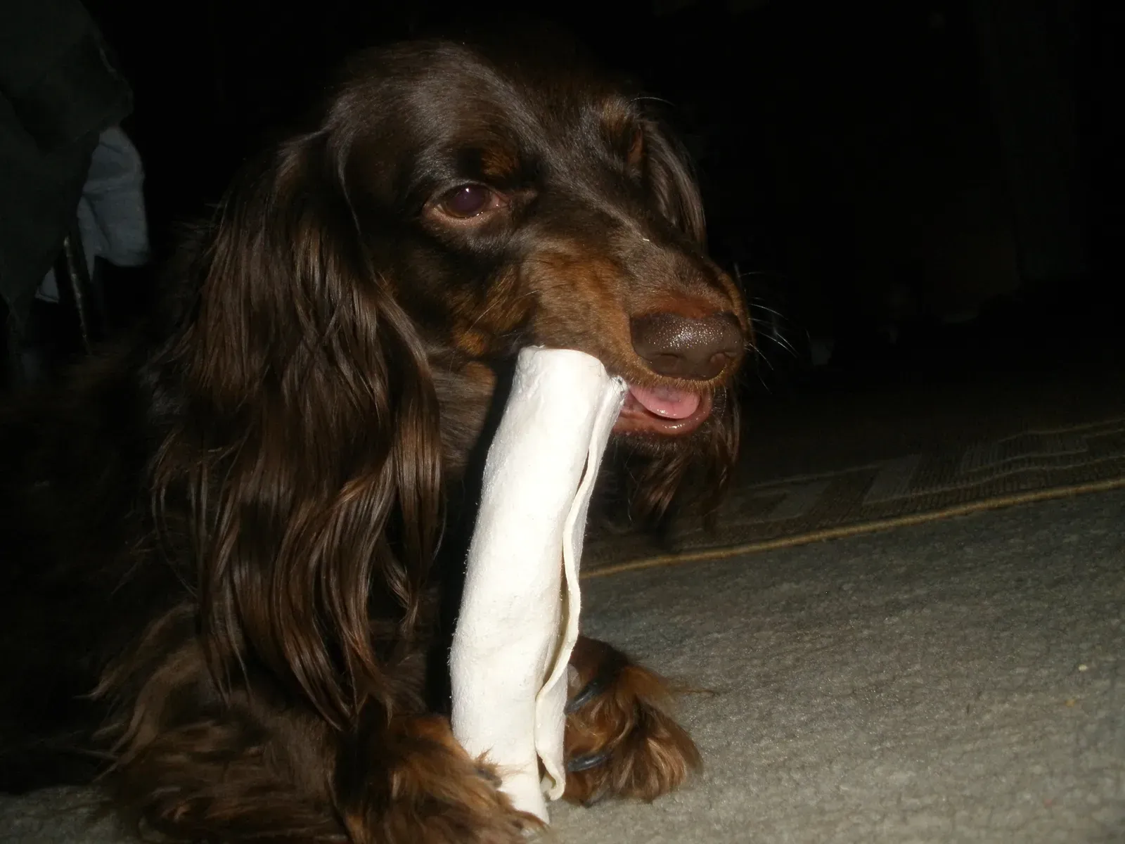 2. Rawhide chews (By Tony Alter, CC BY 2.0)