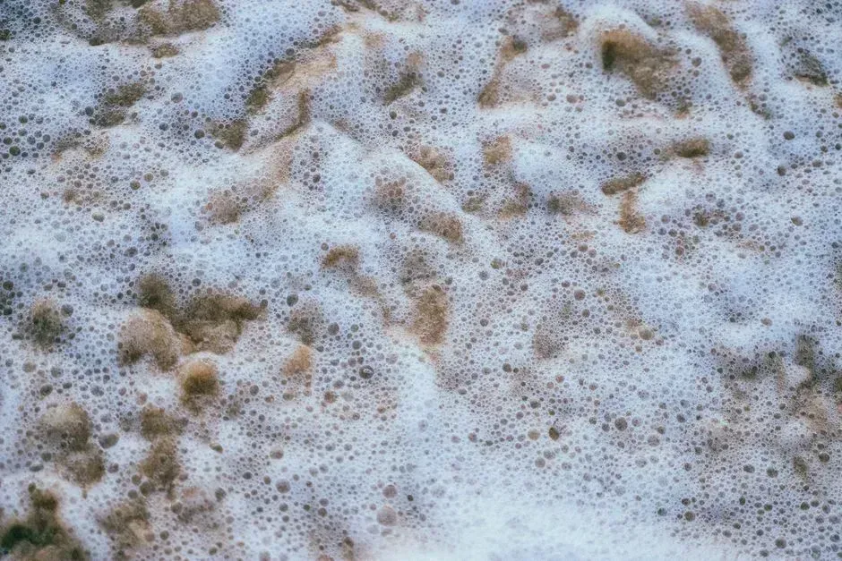 Hard Detergents That Foamed Rivers (Image Credits: Pexels)