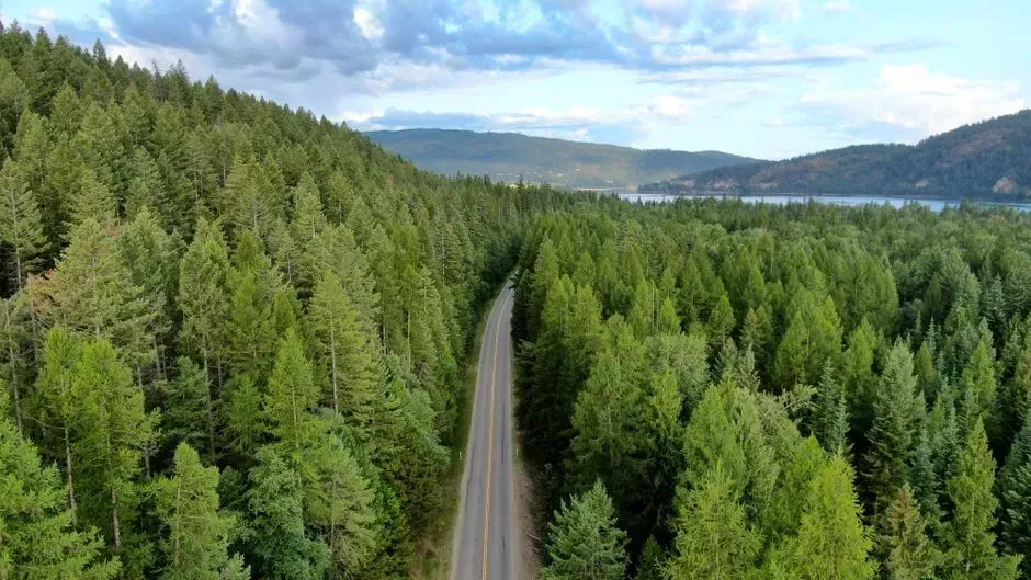 7. Ponderosa Pine Scenic Byway, Idaho (Image Credits: Pexels)