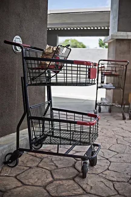 2. Oversized Shopping Carts Create a "Fill It Up" Impulse (Image Credits: Pexels)