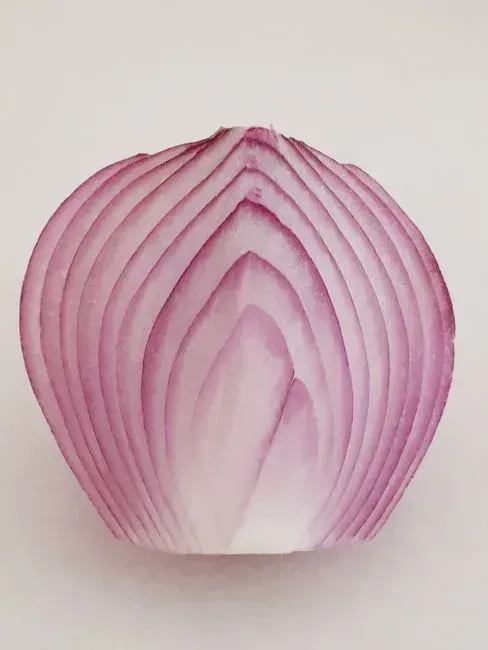 6. The Onion Holder (Image Credits: Pexels)