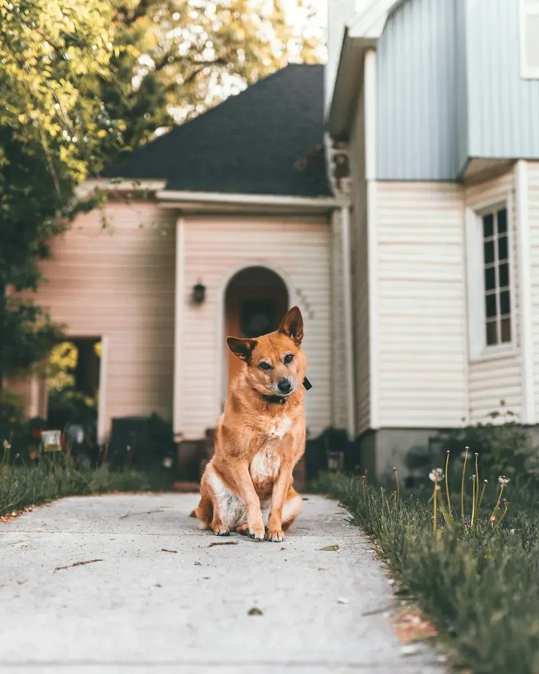 Sudden Bursts of Hyperactivity (Image Credits: Unsplash)