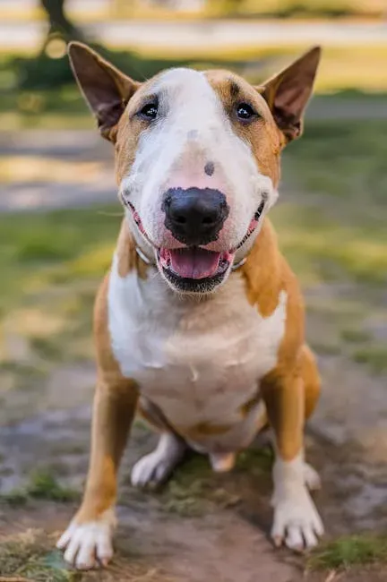 3. Mabel - Sweet, Vintage, and Making a Major Comeback (Image Credits: Pexels)