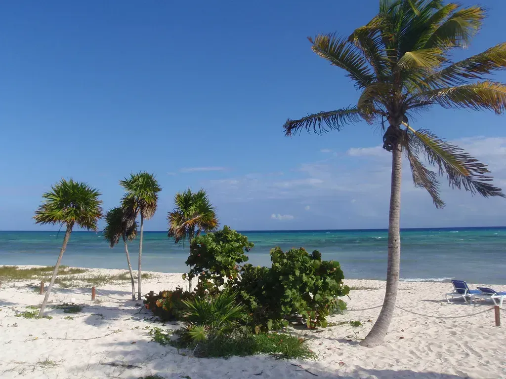 Playa del Carmen, Mexico: The Beach Town That Priced Out Its Own People (Numinosity by Gary J Wood, Flickr, CC BY-SA 2.0)
