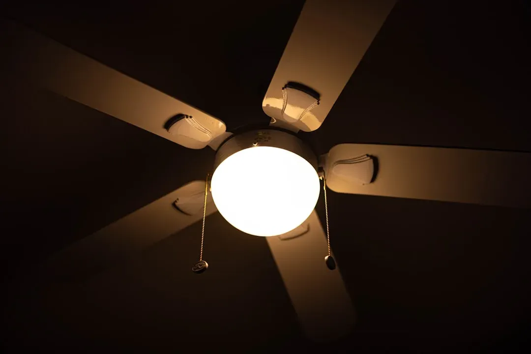 12. Ceiling Fans and High-Up Dust (Image Credits: Unsplash)