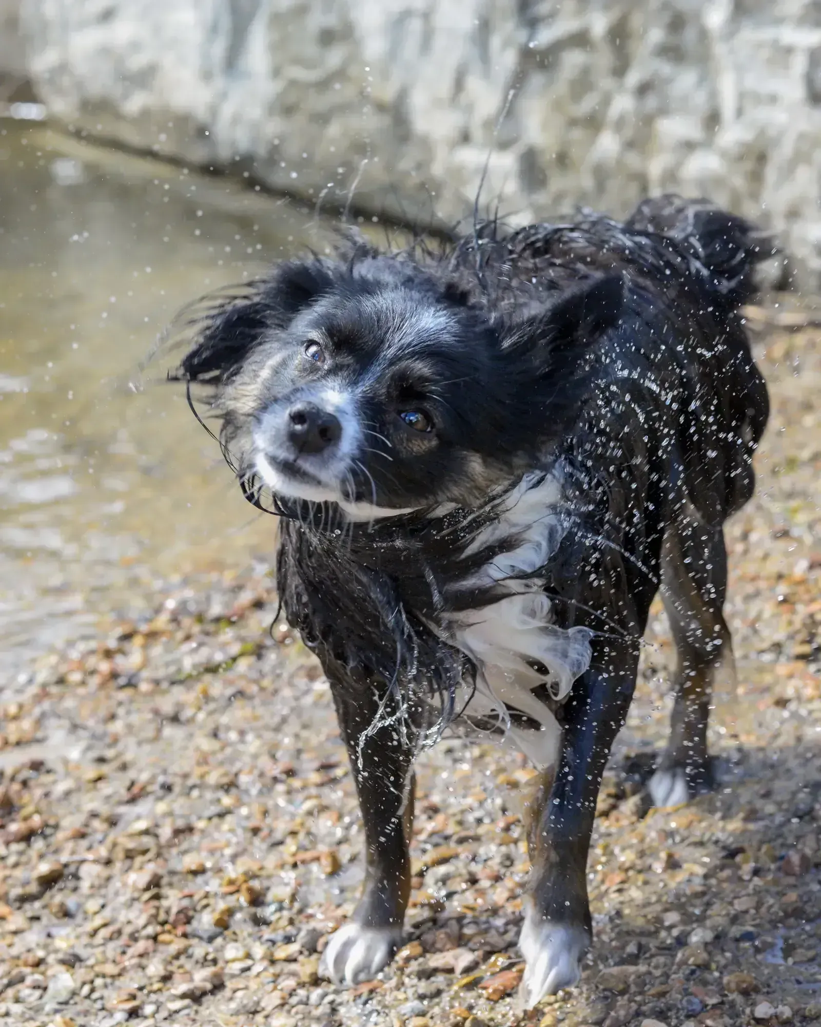 Shaking Off and Trembling (Image Credits: Pexels)