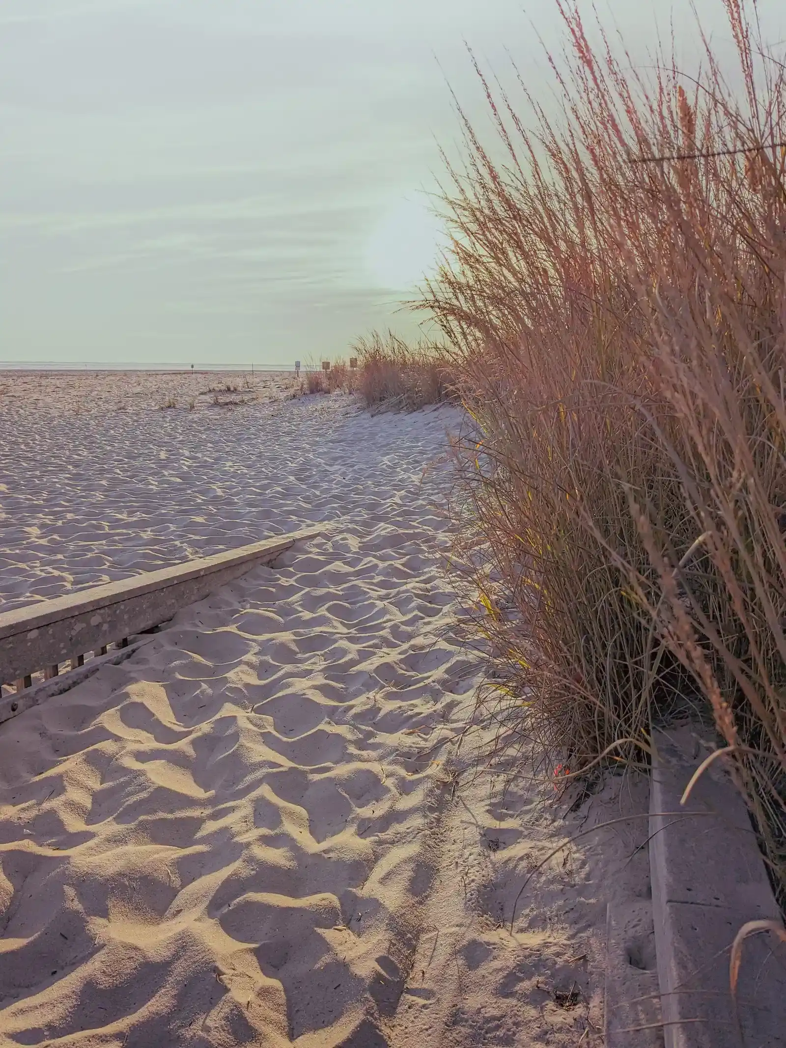 Cape May, New Jersey (Image Credits: Pexels)