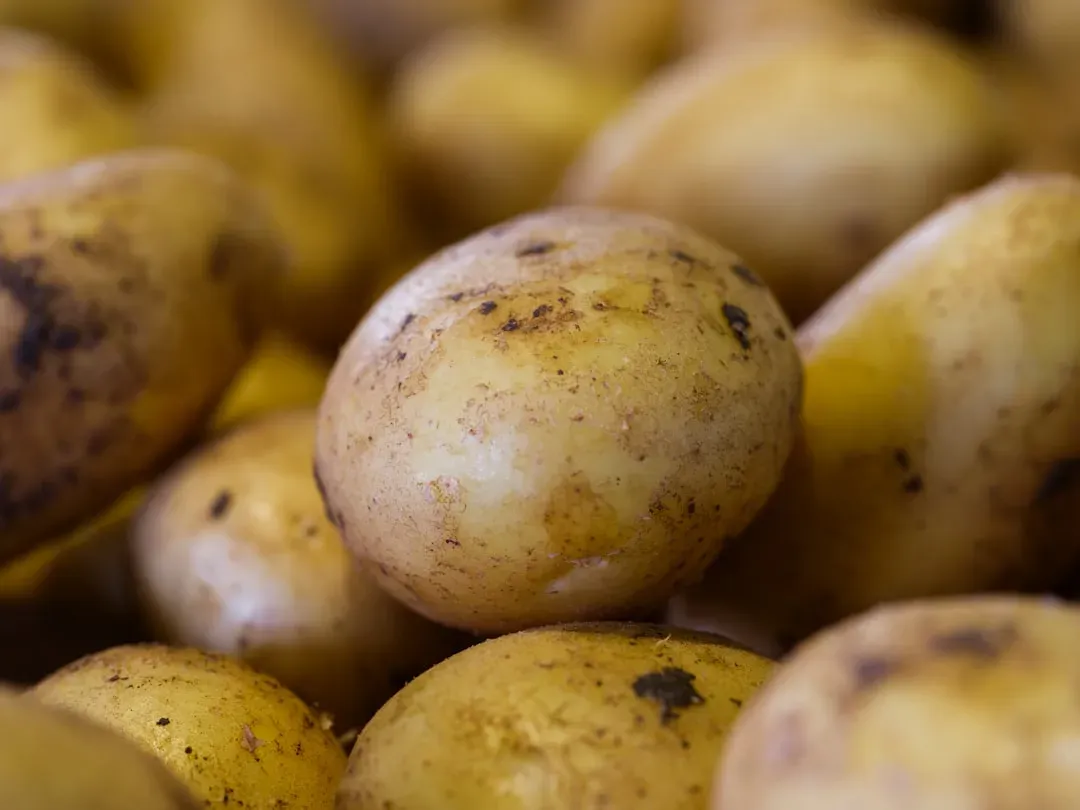 5. Potatoes (Image Credits: Unsplash)