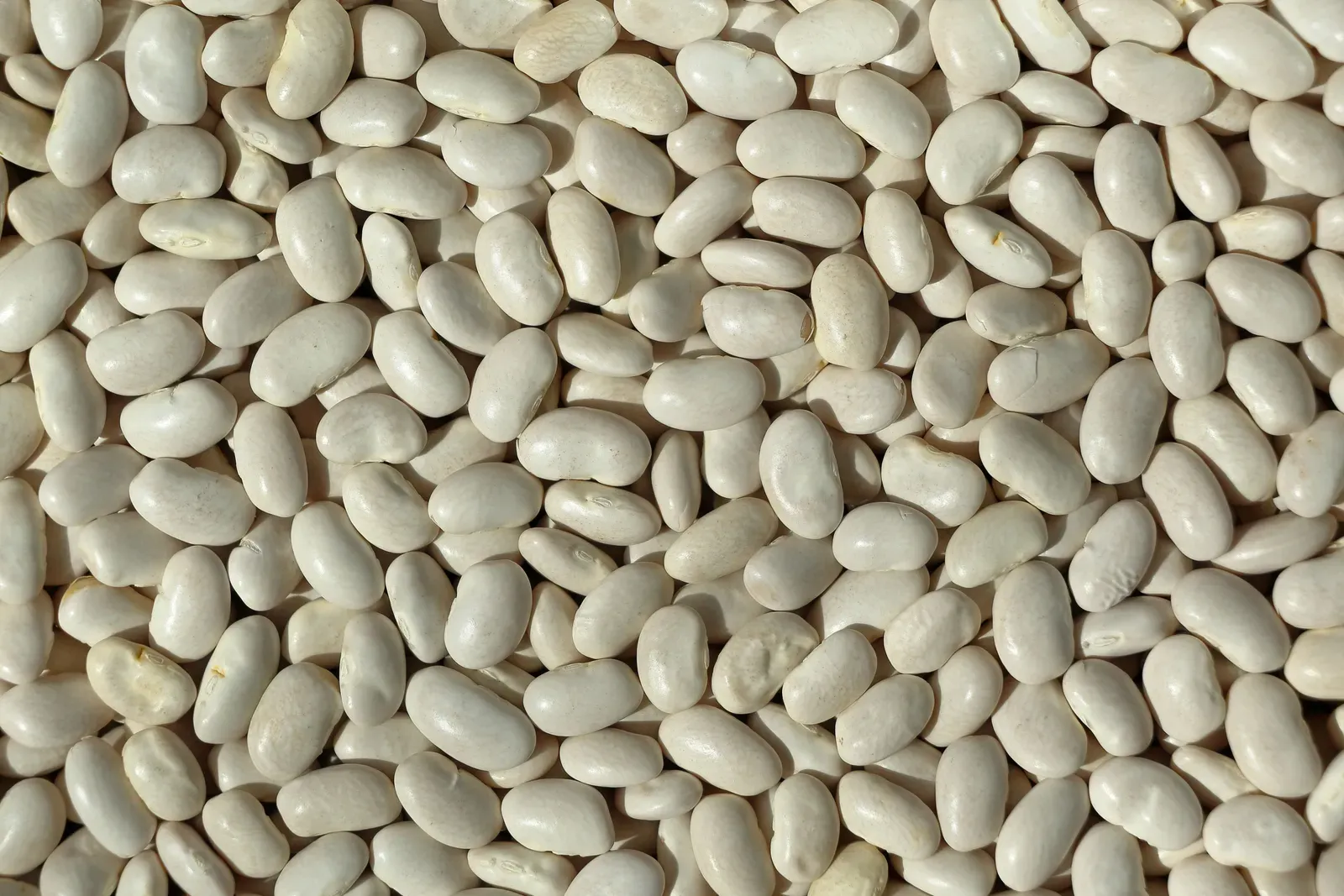 White Beans (Image Credits: Pexels)