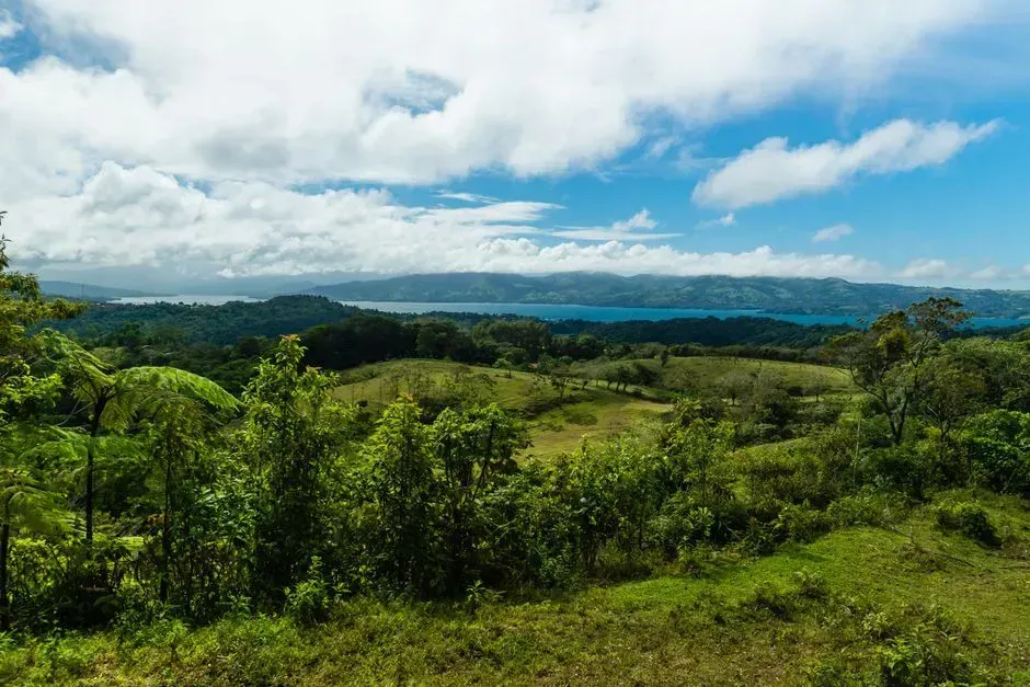 Costa Rica: Central America's disarmed democracy (Image Credits: Pexels)