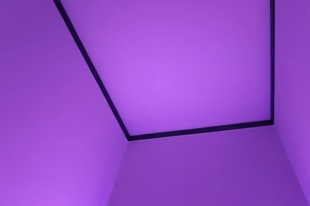 5. Saturated Purple (Image Credits: Unsplash)