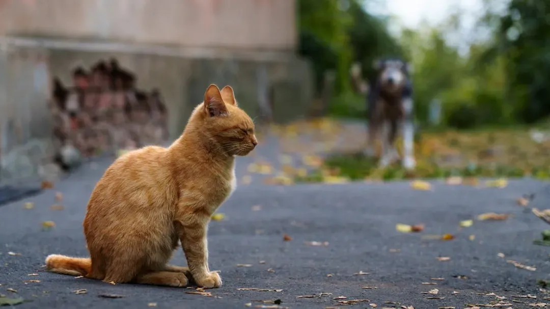 7. Owning Too Many Pets or the Wrong Breed (Image Credits: Unsplash)