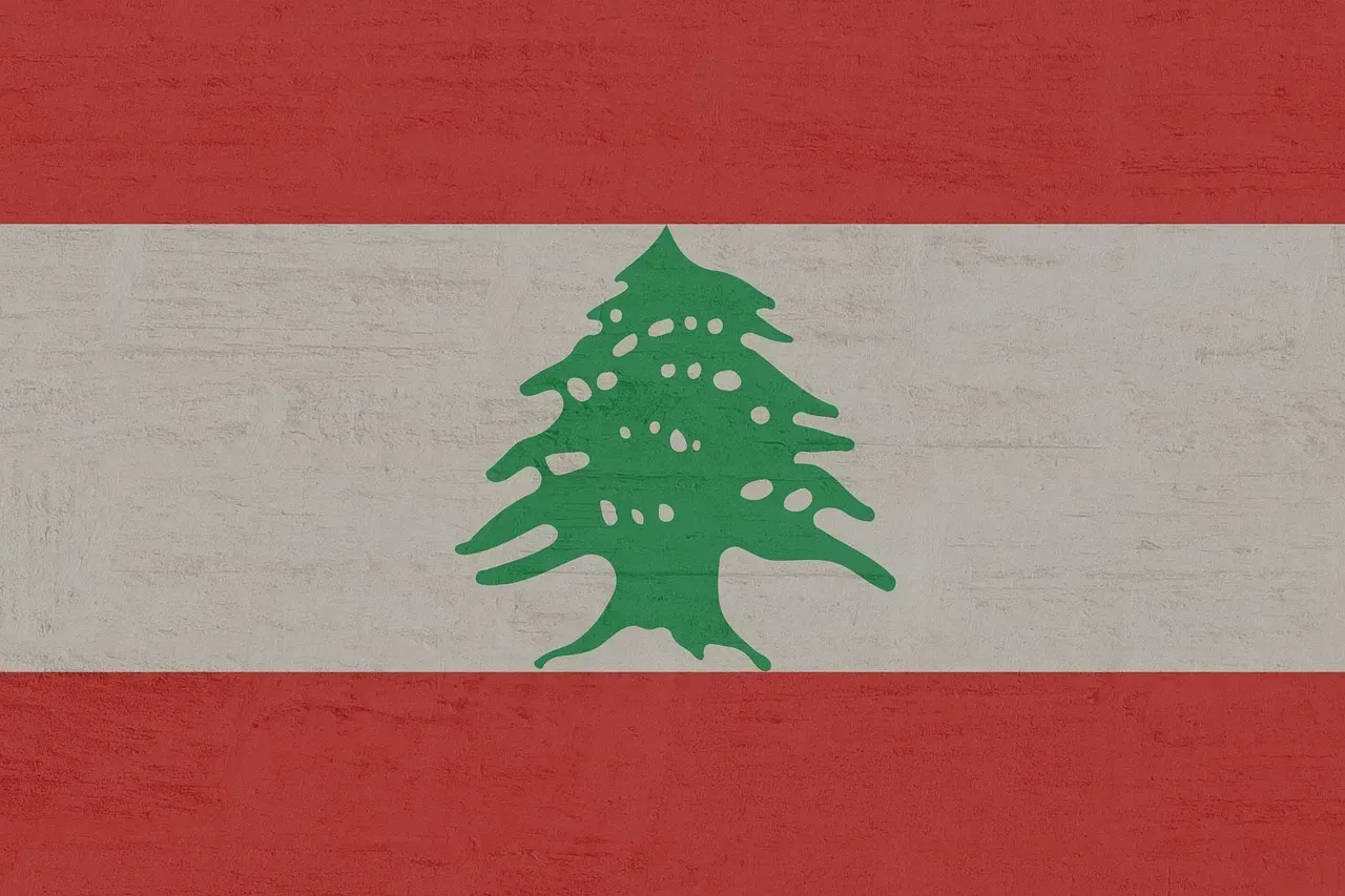 Lebanon: dollarization as a survival strategy (Image Credits: Pixabay)