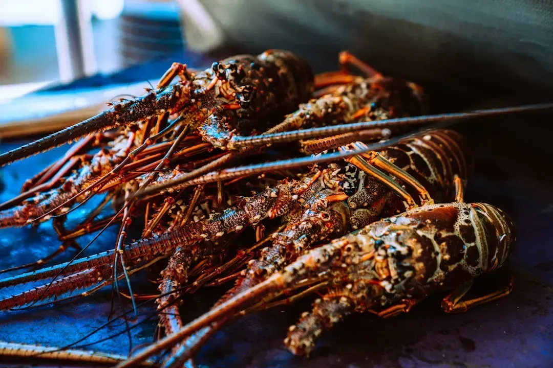 7. The Live Tank Looks Dirty or Has Inactive Animals (Image Credits: Unsplash)
