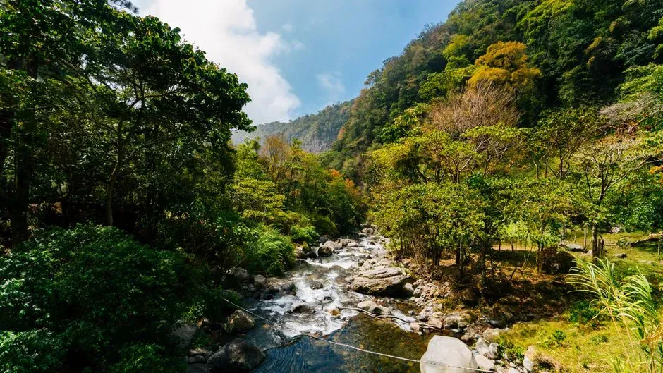 Where Retirees Actually Live: Panama's Best Communities (Image Credits: Pexels)