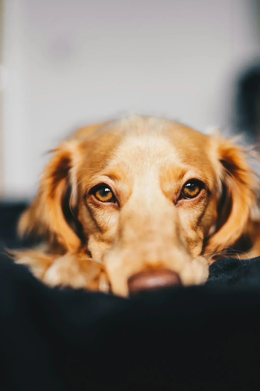 9. "We don't go near that anymore" (Image Credits: Unsplash)