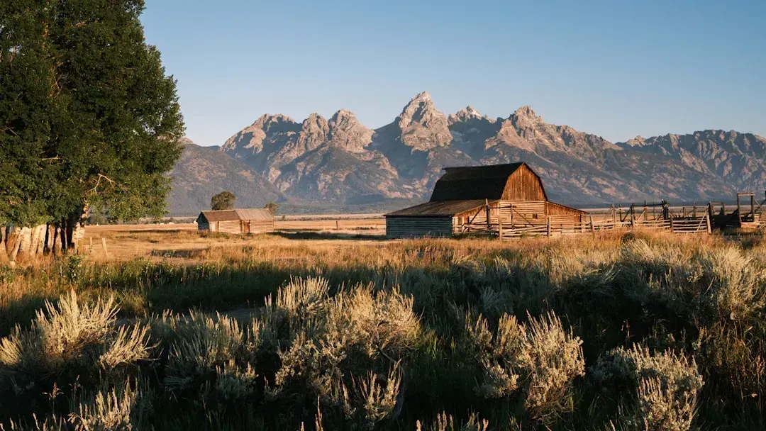 9. Wyoming (Image Credits: Unsplash)