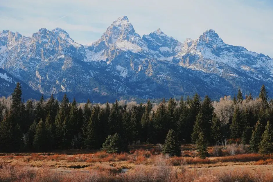 Jackson Hole, Wyoming: where tax savings meet the Tetons (Image Credits: Pexels)