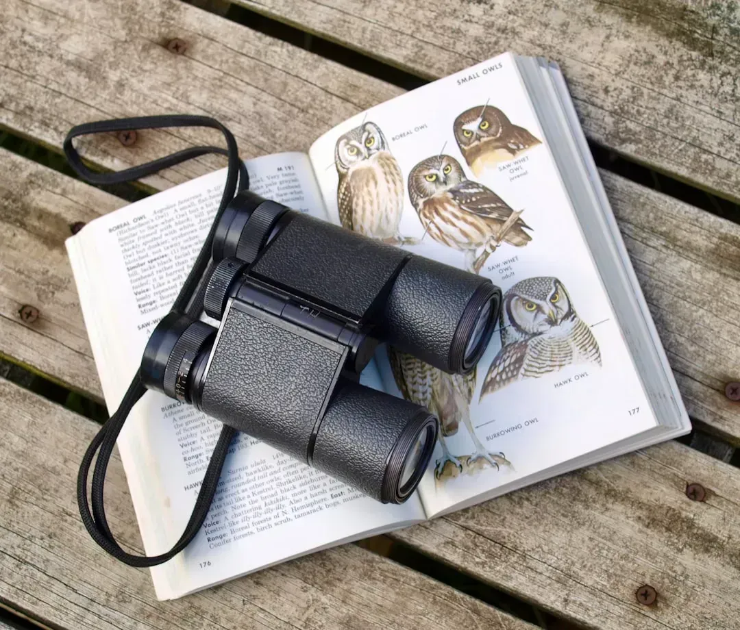7. Birdwatching (Image Credits: Unsplash)