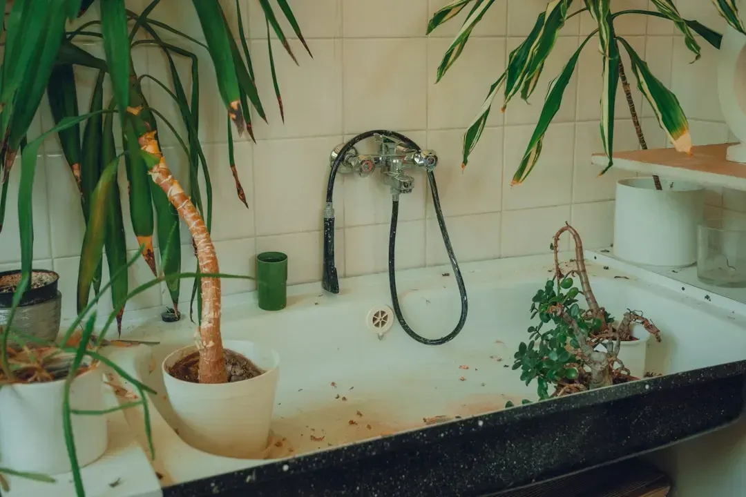 7. Poor Waterproofing Leading to Mold and Structural Damage (Image Credits: Unsplash)