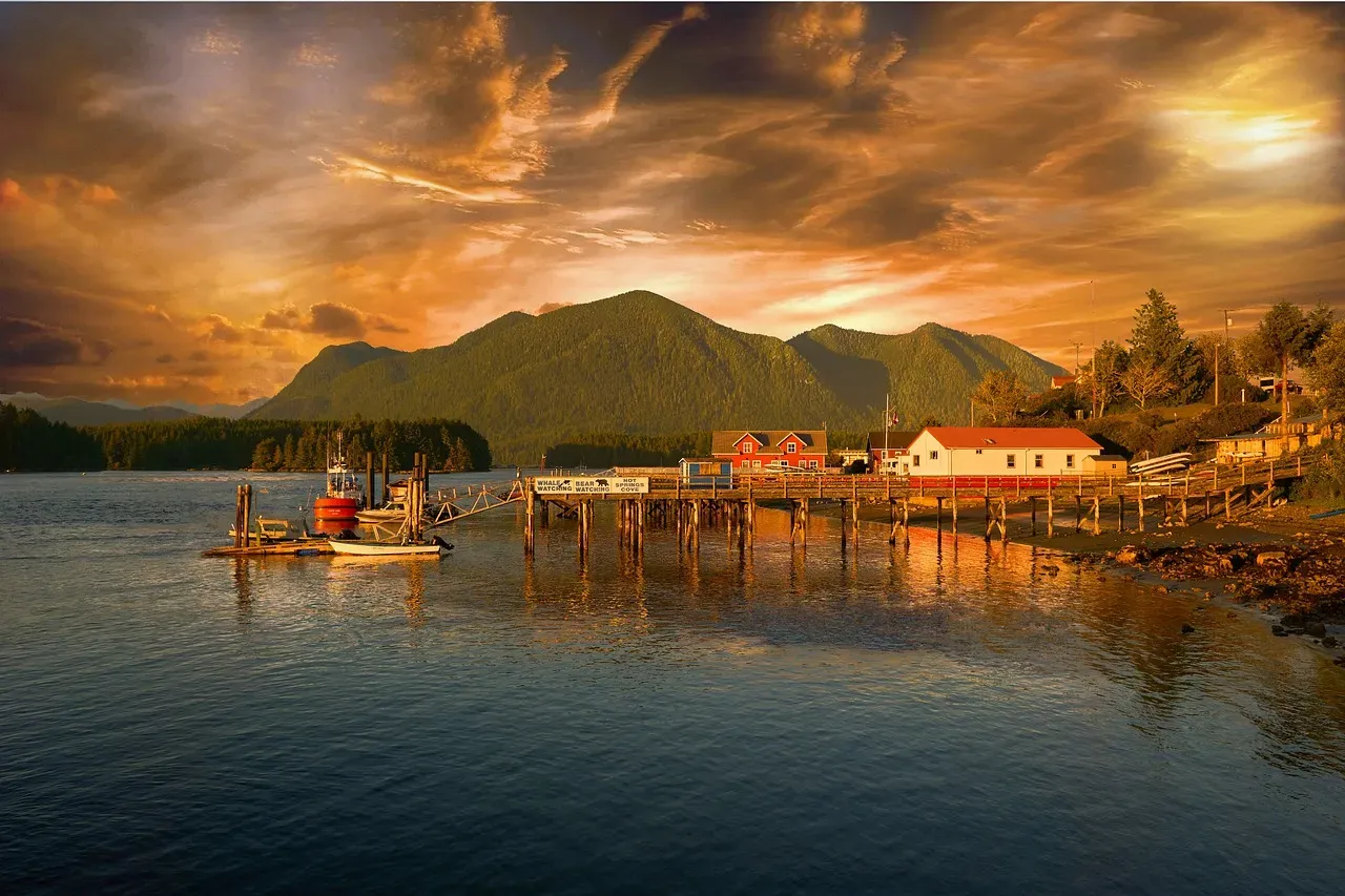 2. Tofino, British Columbia (Image Credits: Pixabay)