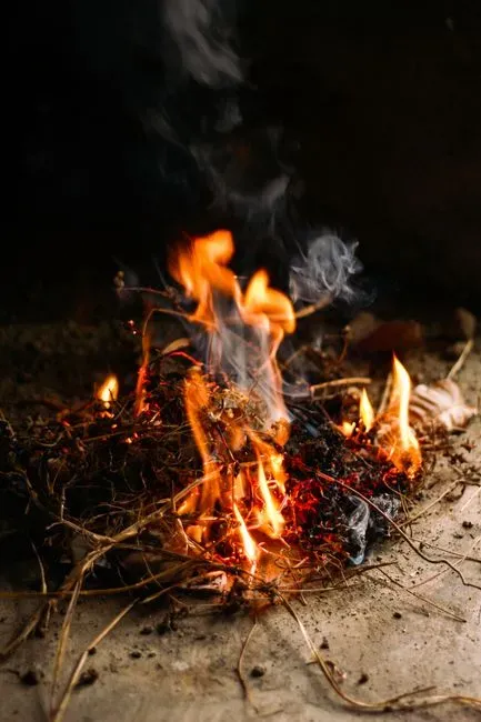 9. Burning Trash in the Backyard (Image Credits: Pexels)