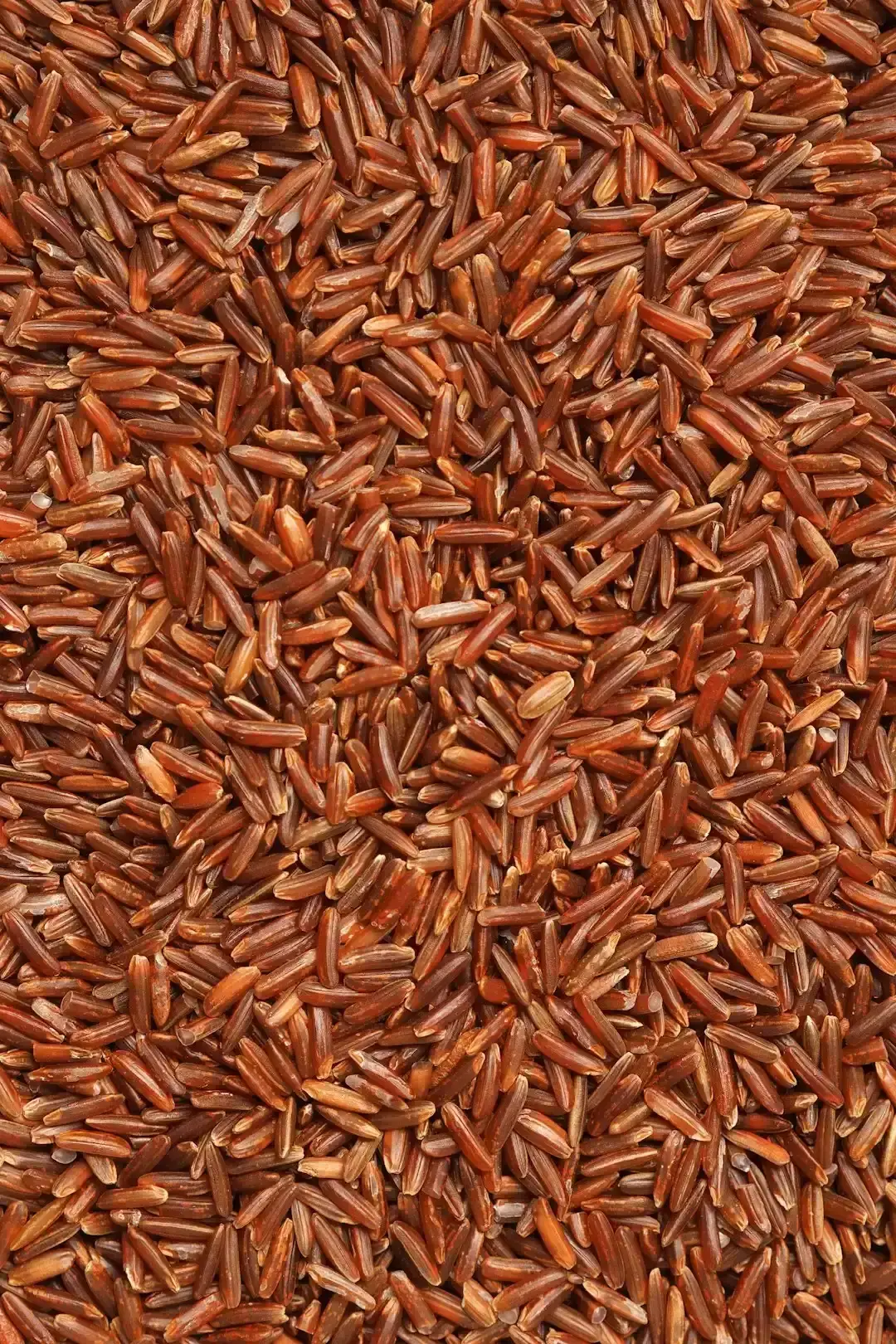 Brown Rice (Image Credits: Unsplash)