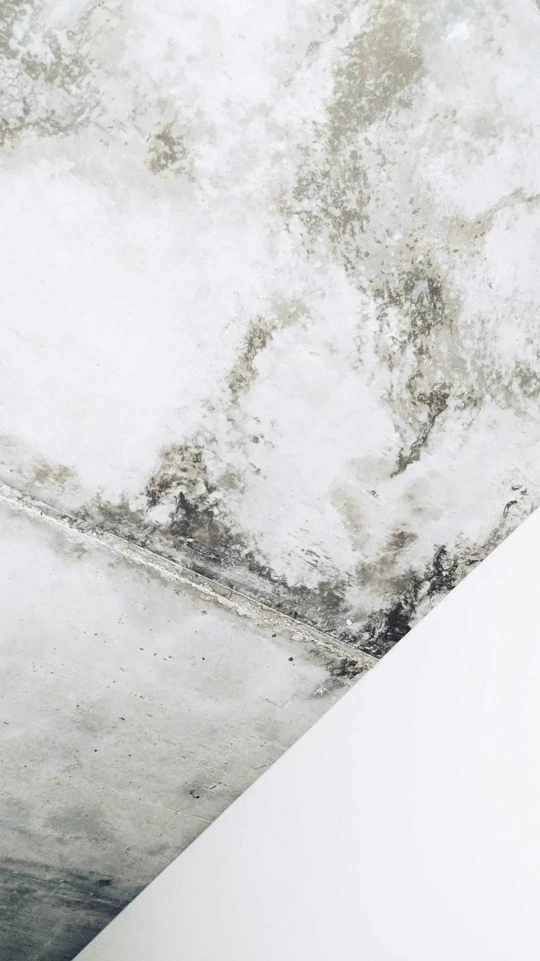 2. Ceiling stains and water marks (Image Credits: Unsplash)
