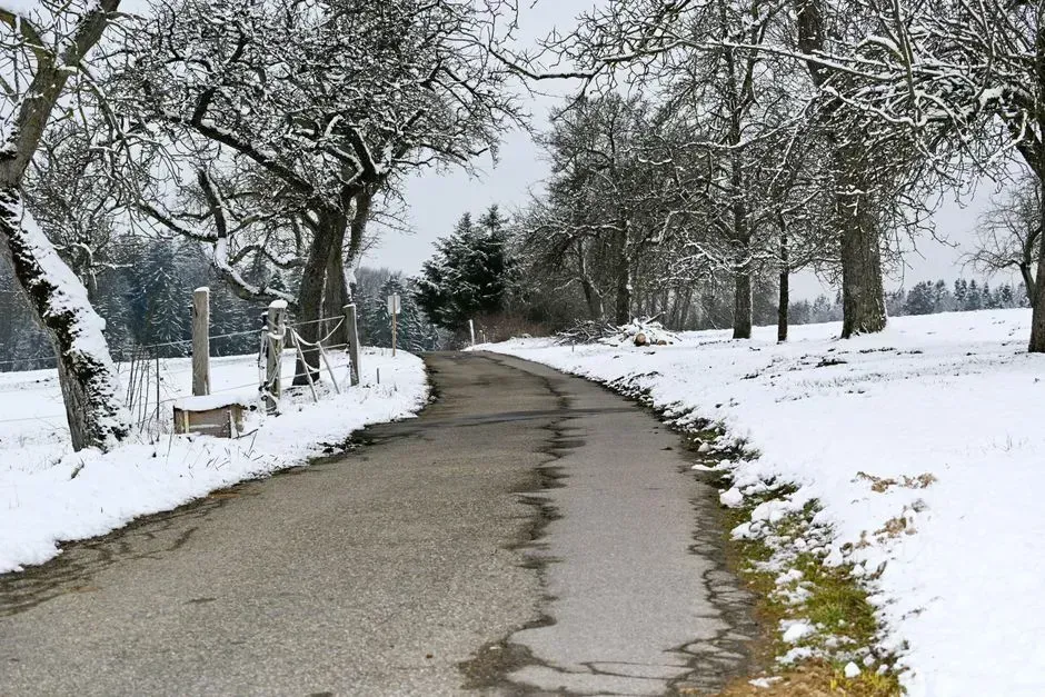 10. Salting driveways and sidewalks before a storm even arrives (Image Credits: Pexels)