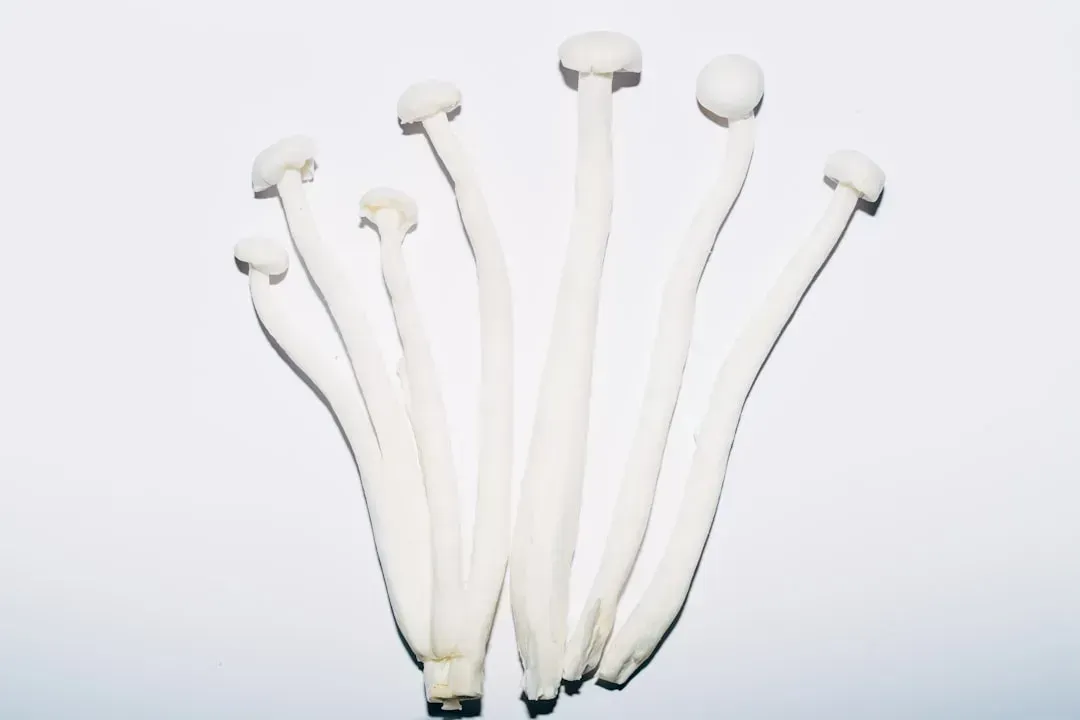 Mushroom Stems (Image Credits: Unsplash)