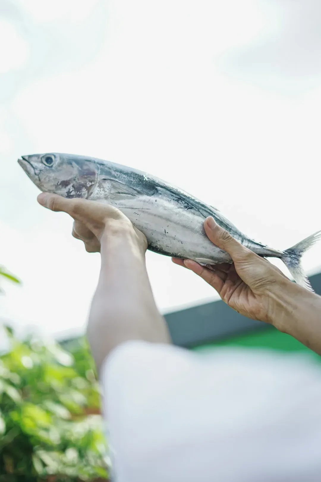 4. Flesh That Doesn't Spring Back When Pressed (Image Credits: Unsplash)