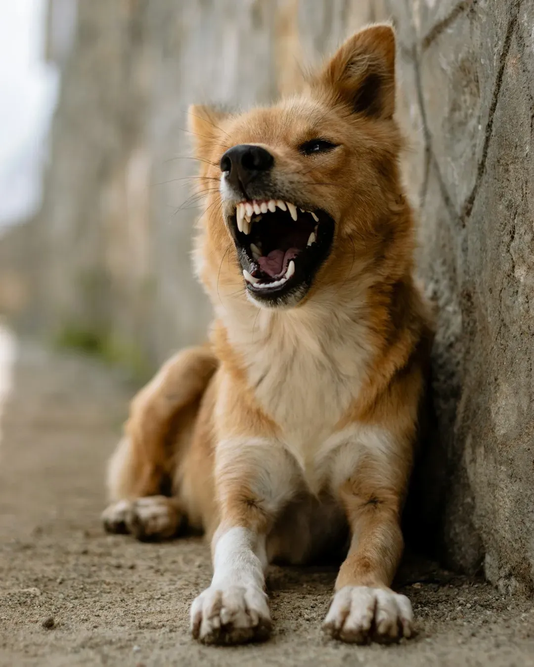 6. "He's just being dramatic" (Image Credits: Unsplash)