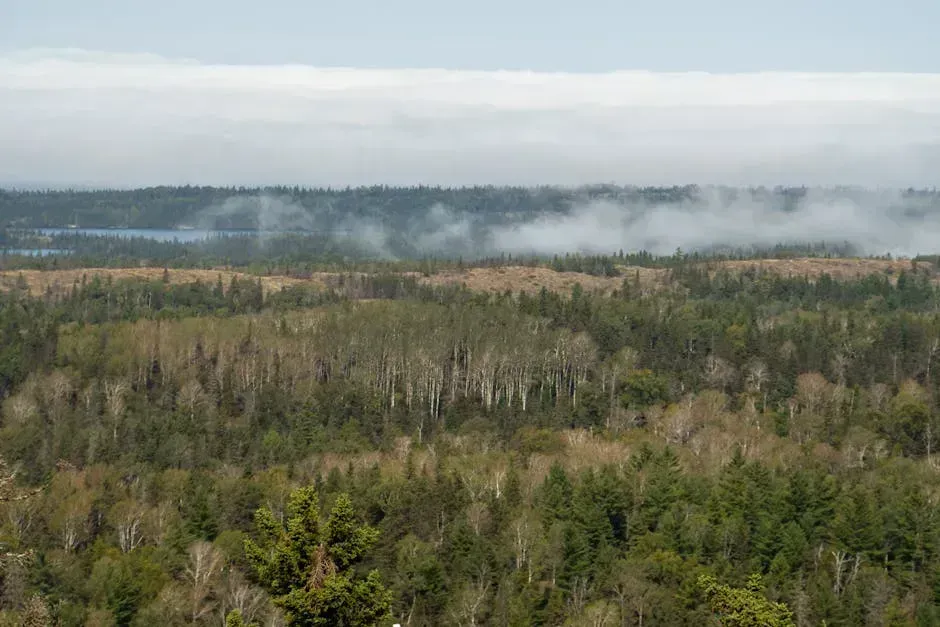 6. Isle Royale National Park, Michigan – 28,806 Visits in 2024 (Image Credits: Pexels)