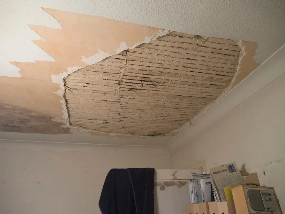 1. Aging or Damaged Roofs (Image Credits: Unsplash)