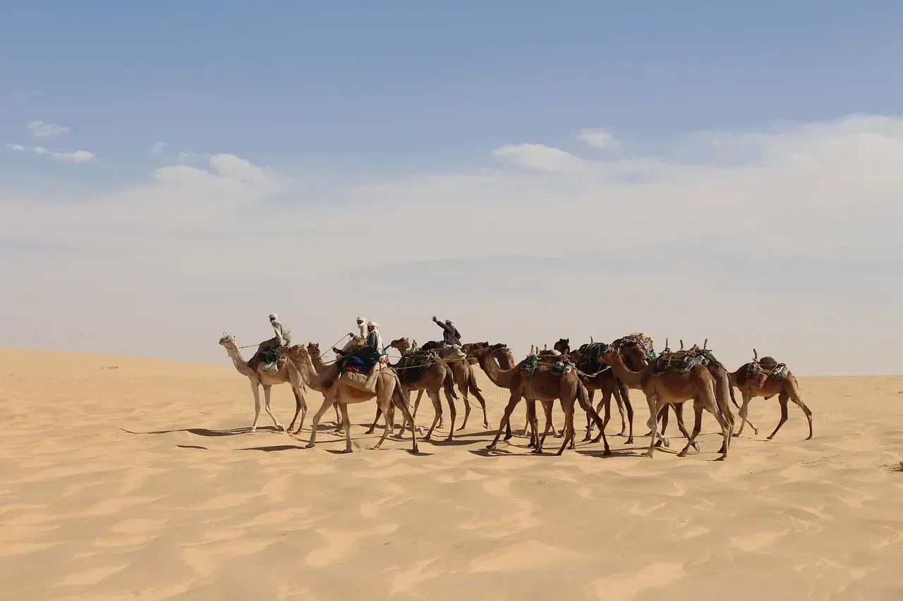 8. Chad: First of the African Retaliators (Image Credits: Pixabay)