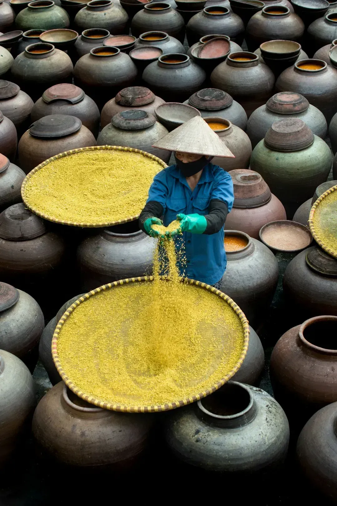 Vietnam (Image Credits: Unsplash)