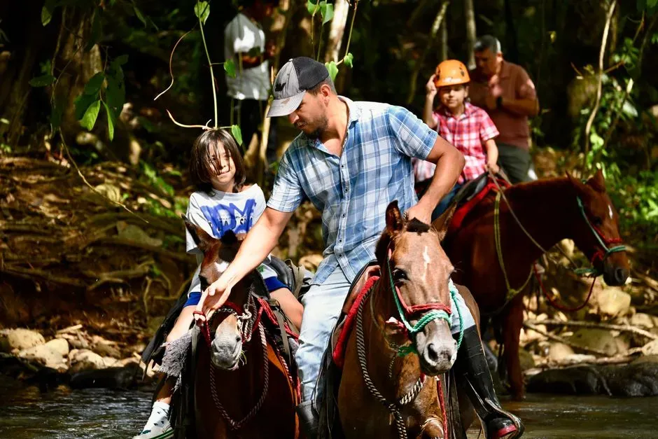 5. Costa Rica: Where "Pure Life" Isn't Just a Slogan (Image Credits: Pexels)