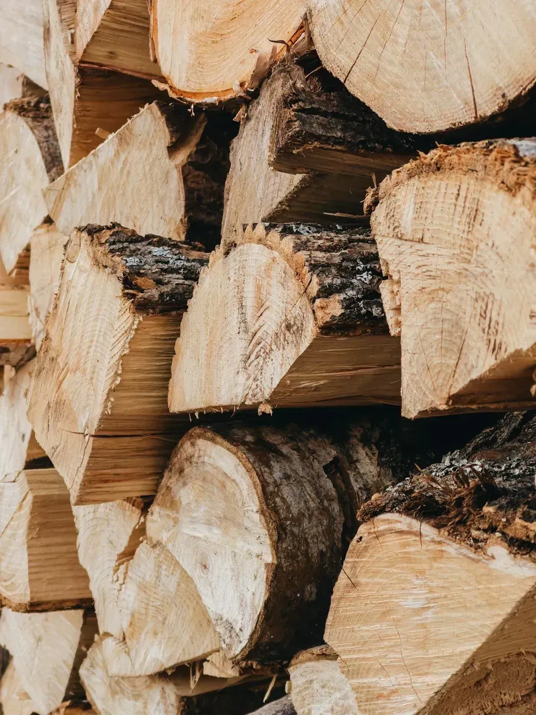 4. Stockpiling firewood and heating oil well before the cold arrives (Image Credits: Unsplash)