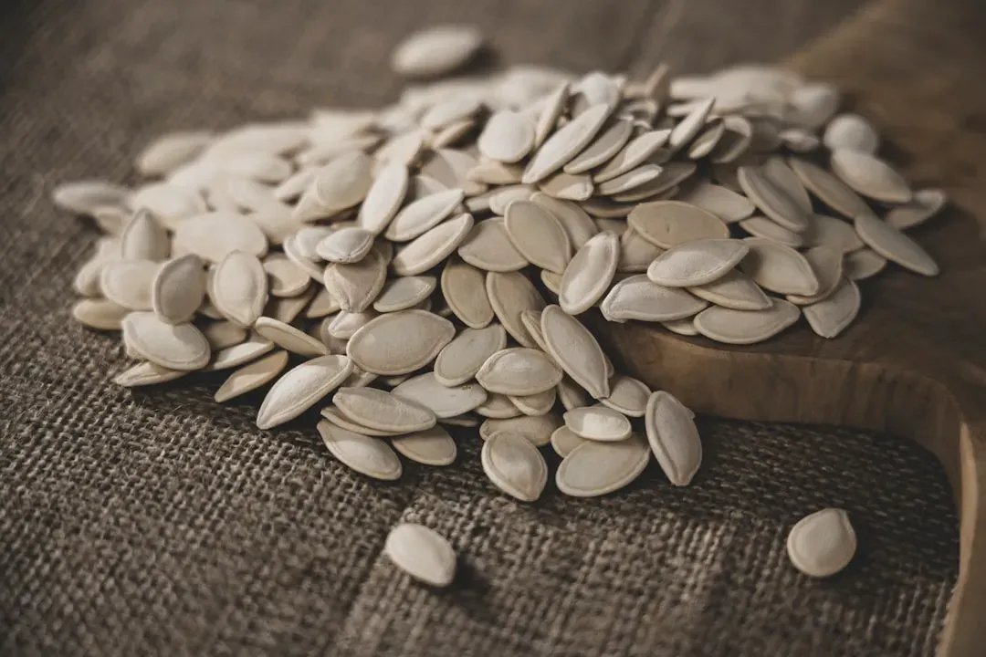5. Pumpkin Seeds (Image Credits: Unsplash)
