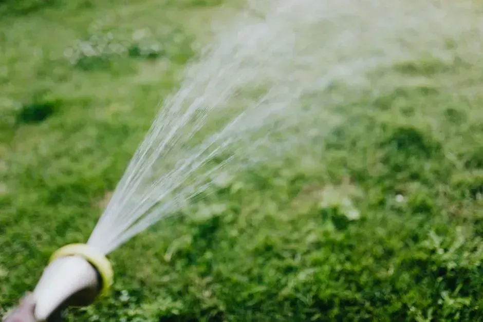 9. Watering at the Wrong Time of Day After Mowing (Image Credits: Pexels)