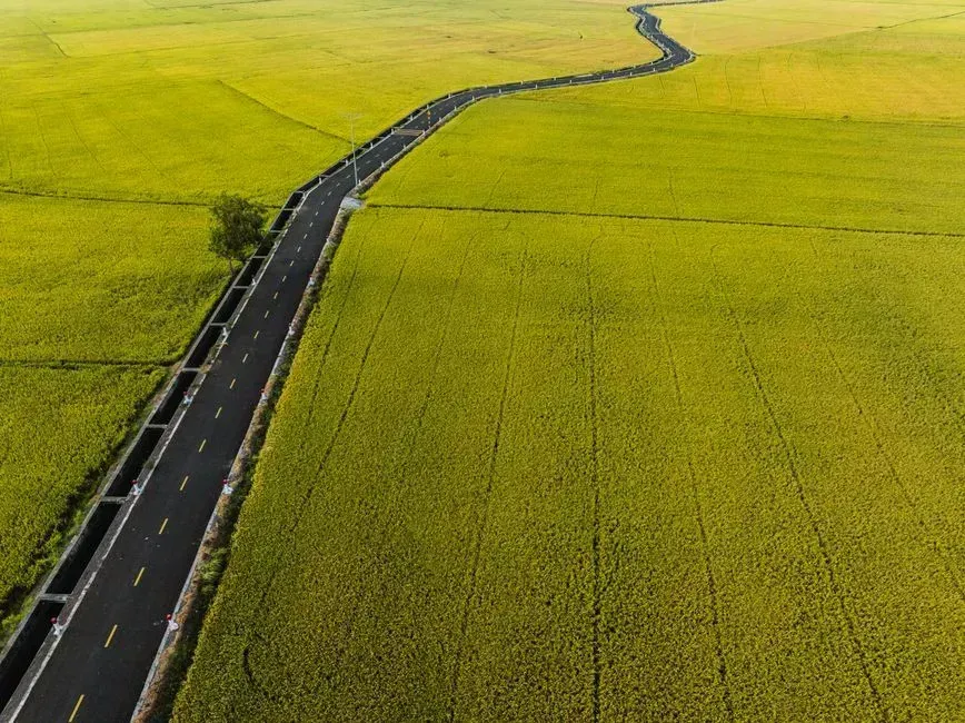 Growing pains that small towns were not built to absorb (Image Credits: Pexels)