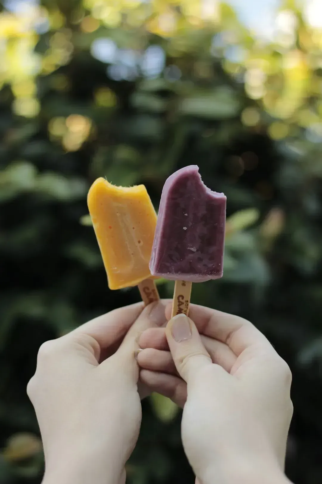 Jell-O Pudding Pops (Image Credits: Unsplash)